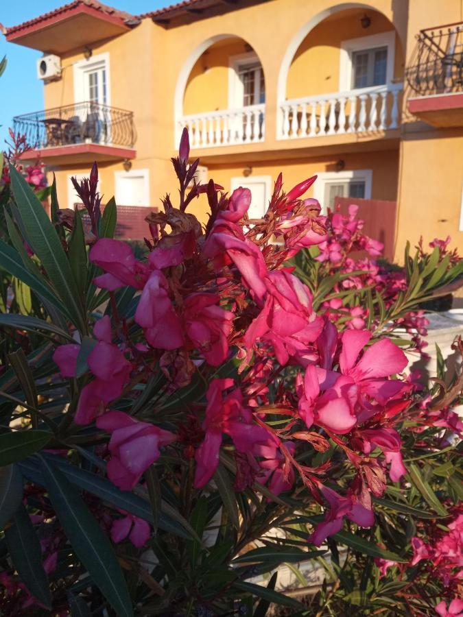 Residence Ionian St&Apts Argostoli  Zewnętrze zdjęcie